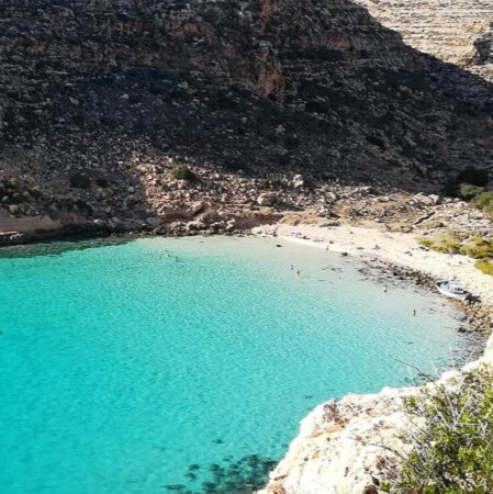 03e77f22 df66 4431 b99b c2ace7e0f1e6