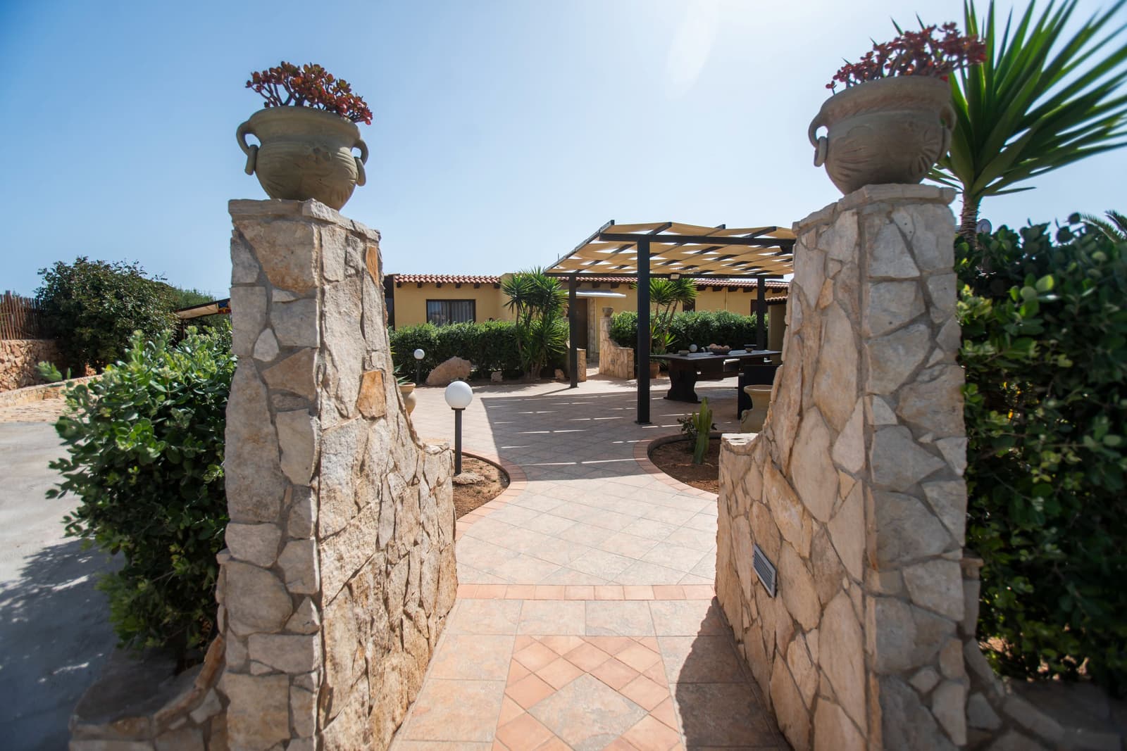 res cernia gialla 42